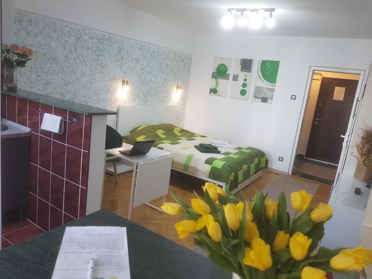 Calea Victoriei Residence Букурещ Екстериор снимка
